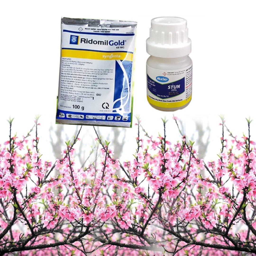 Combo chế phẩm BỌ TRĨ - RỆP - nấm bệnh cho cây trồng