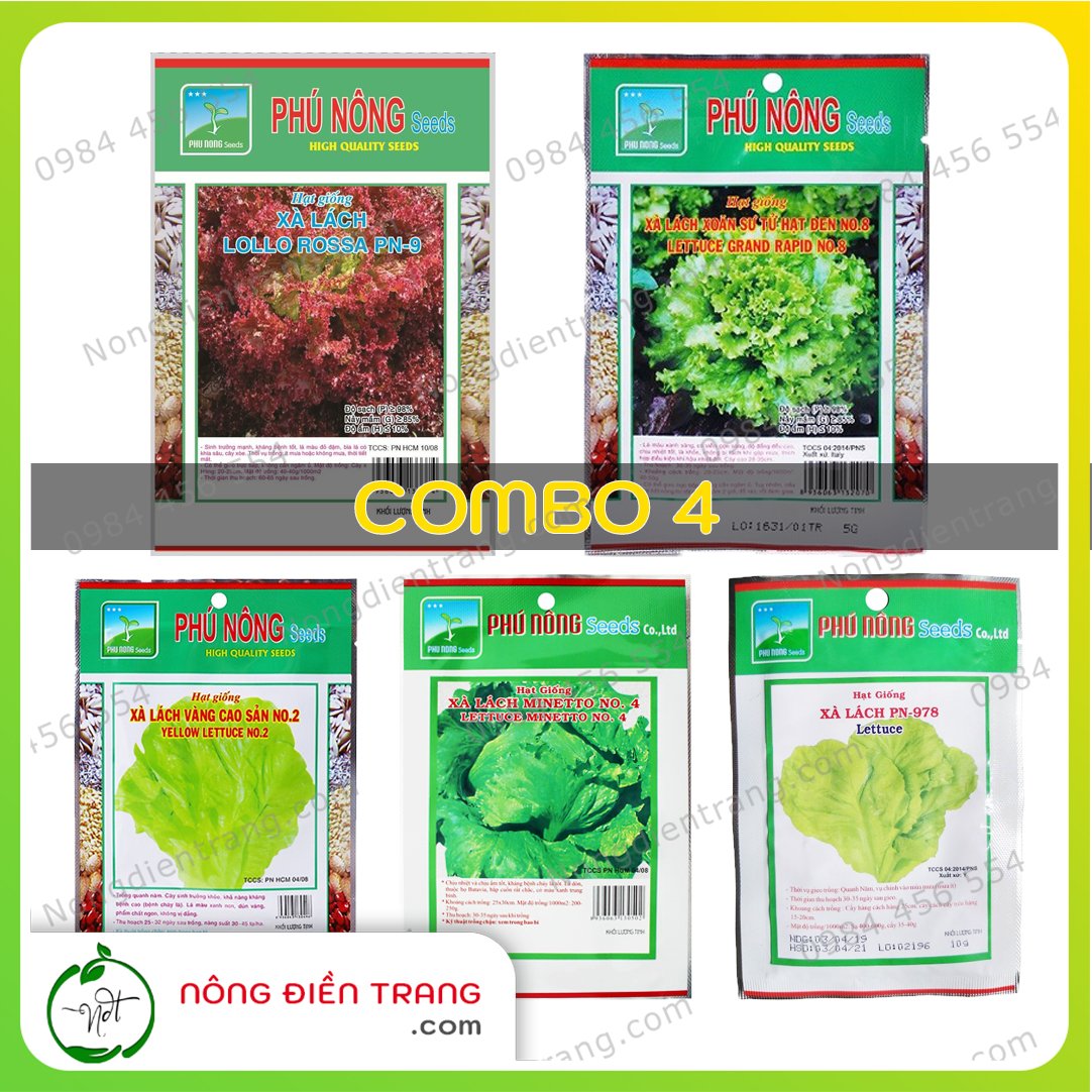 COMBO 5 gói hạt giống rau xà lách các loại - VTNN Nông Điền Trang