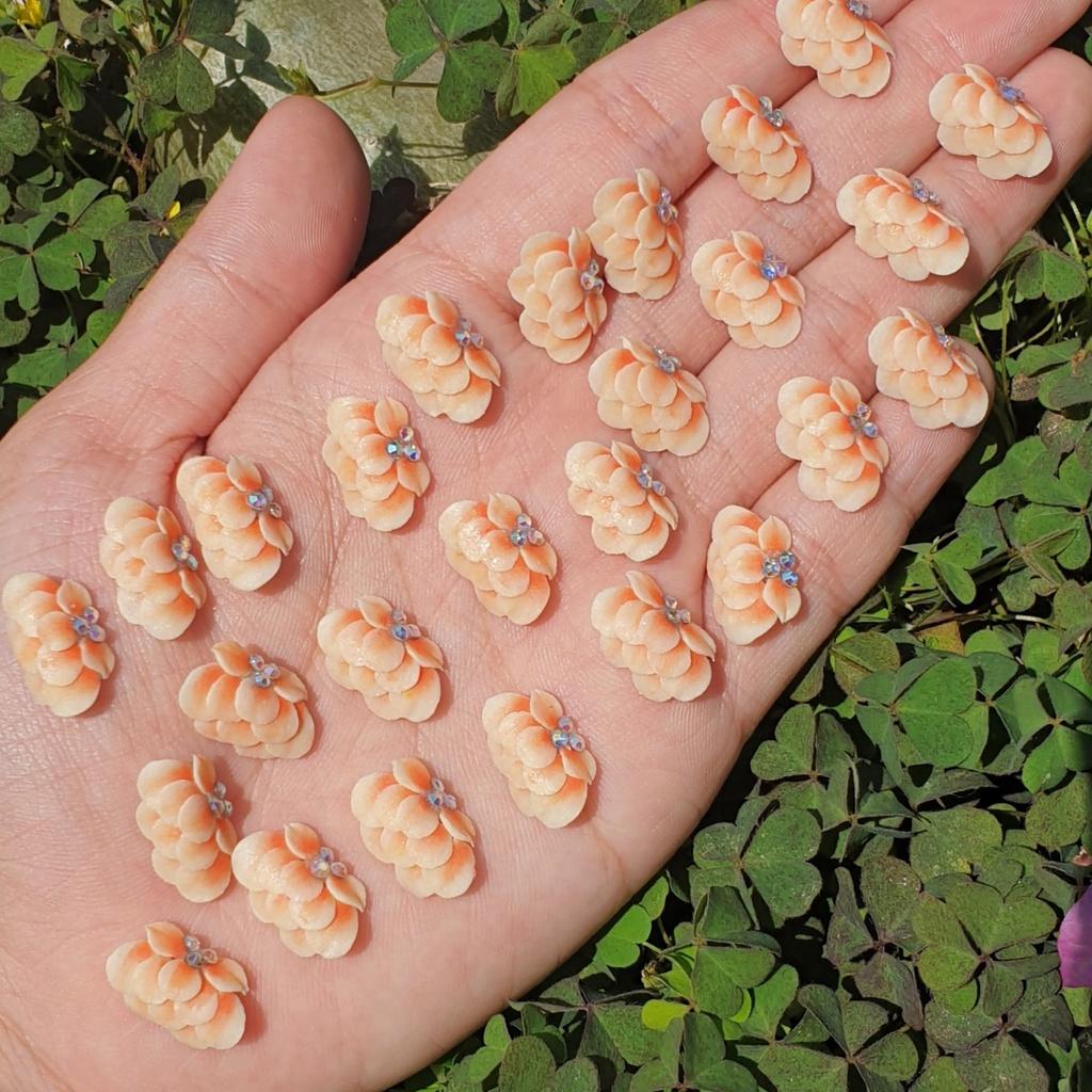 Hoa Bột Nổi | Hoa Cúc Tầng 10HE