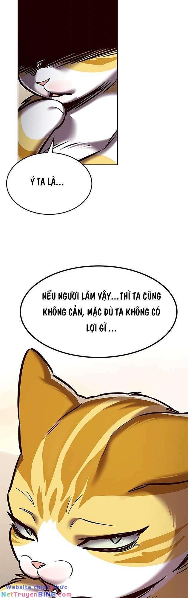 biến thân thành mèo chapter 278 73