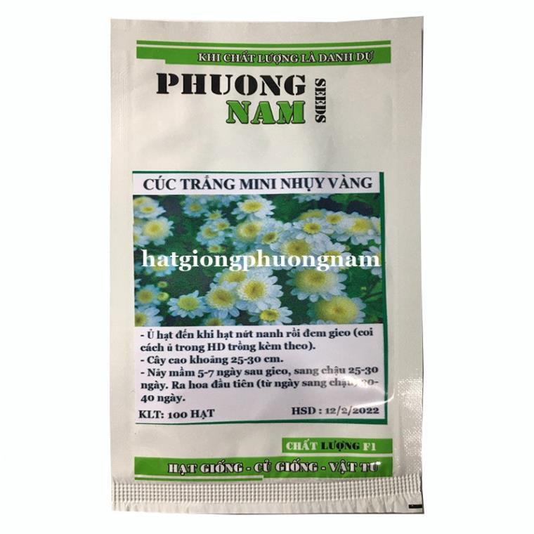 100 HẠT - HẠT GIỐNG CÚC MINI TRẮNG NHỤY VÀNG