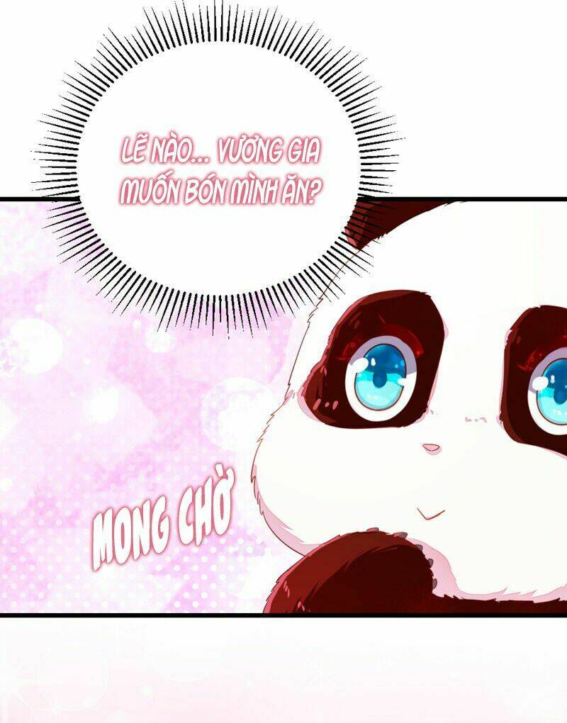 thiên thần gấu trúc muốn được ôm chapter 11 7