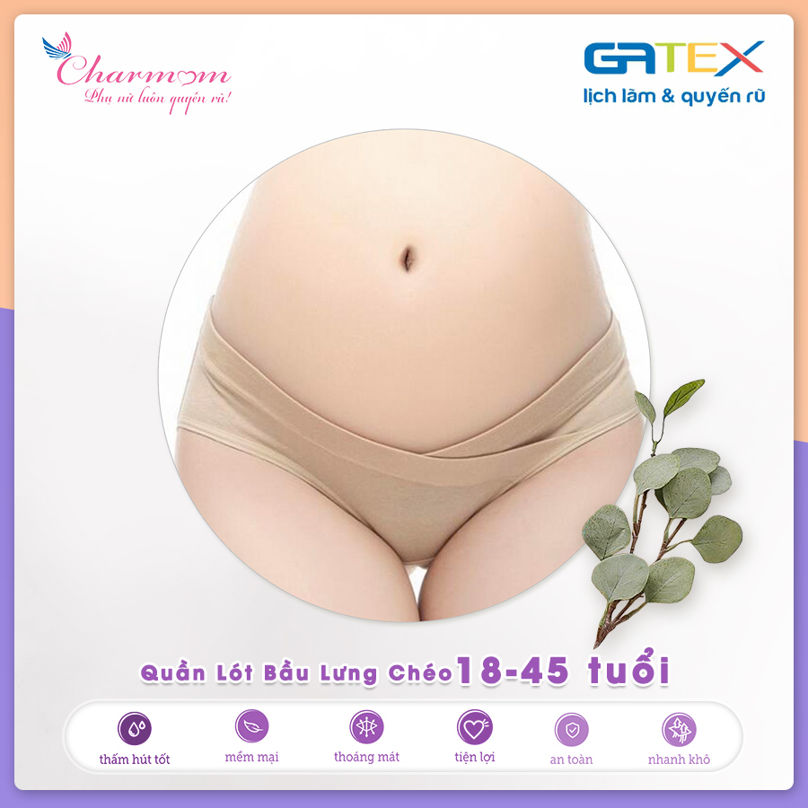 Set Combo 2 Quần Lót Bầu Lưng Thấp GATEX Cotton Cao Cấp Charm Mum