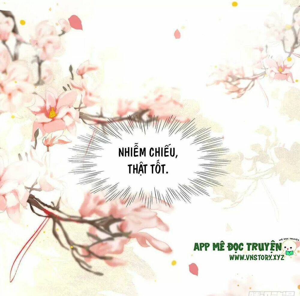 phượng hoàng vu phi chapter 92 37