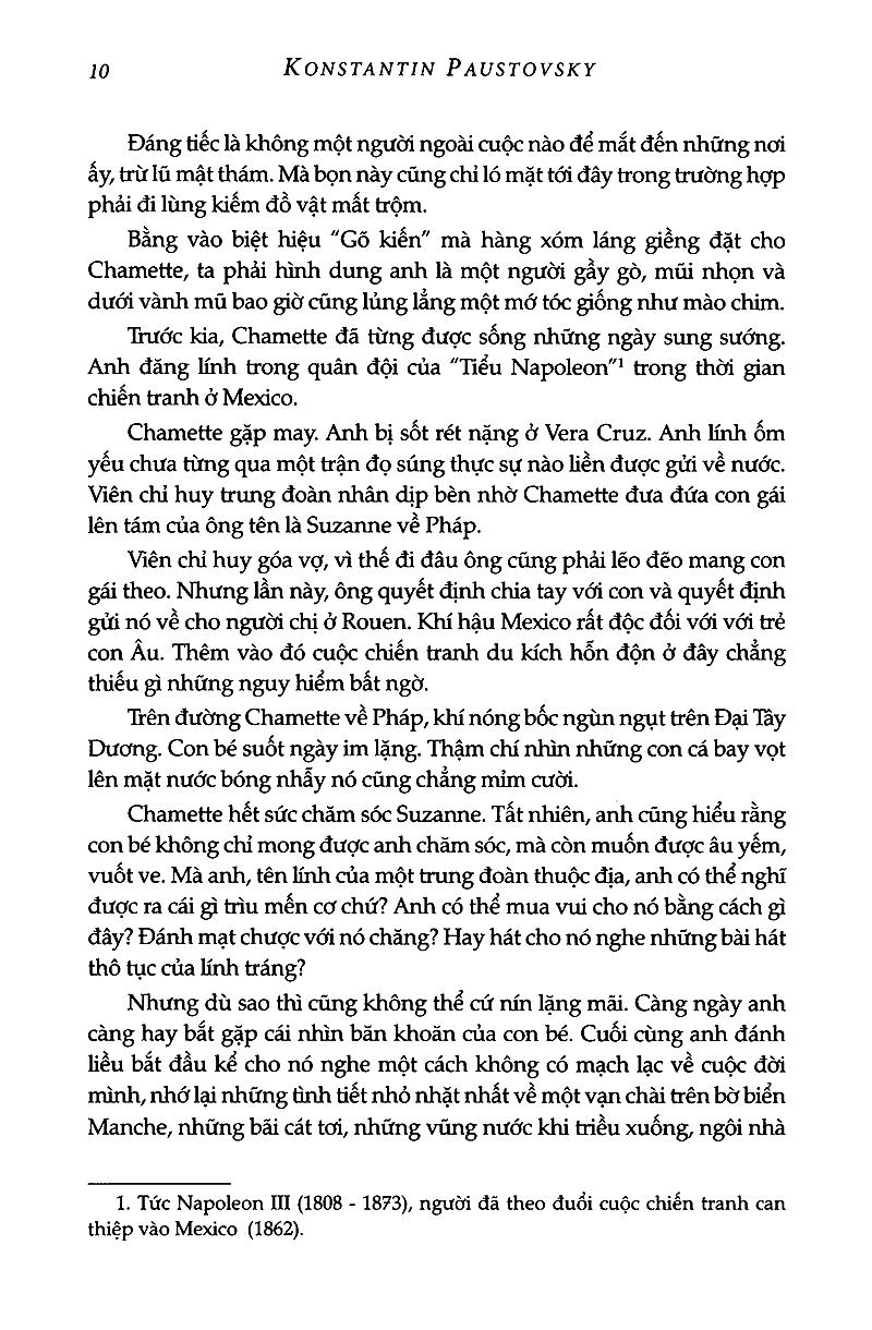 Bông Hồng Vàng Và Bình Minh Mưa