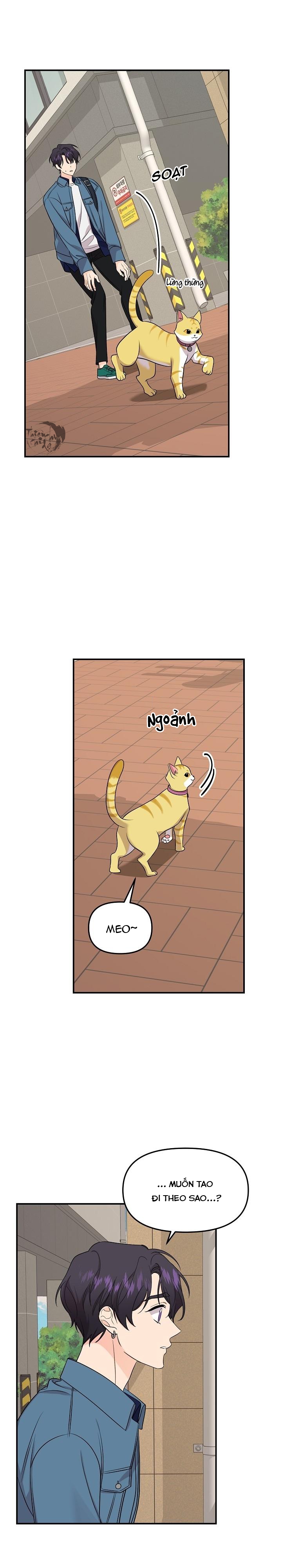 hoa ly hổ chapter 49 6