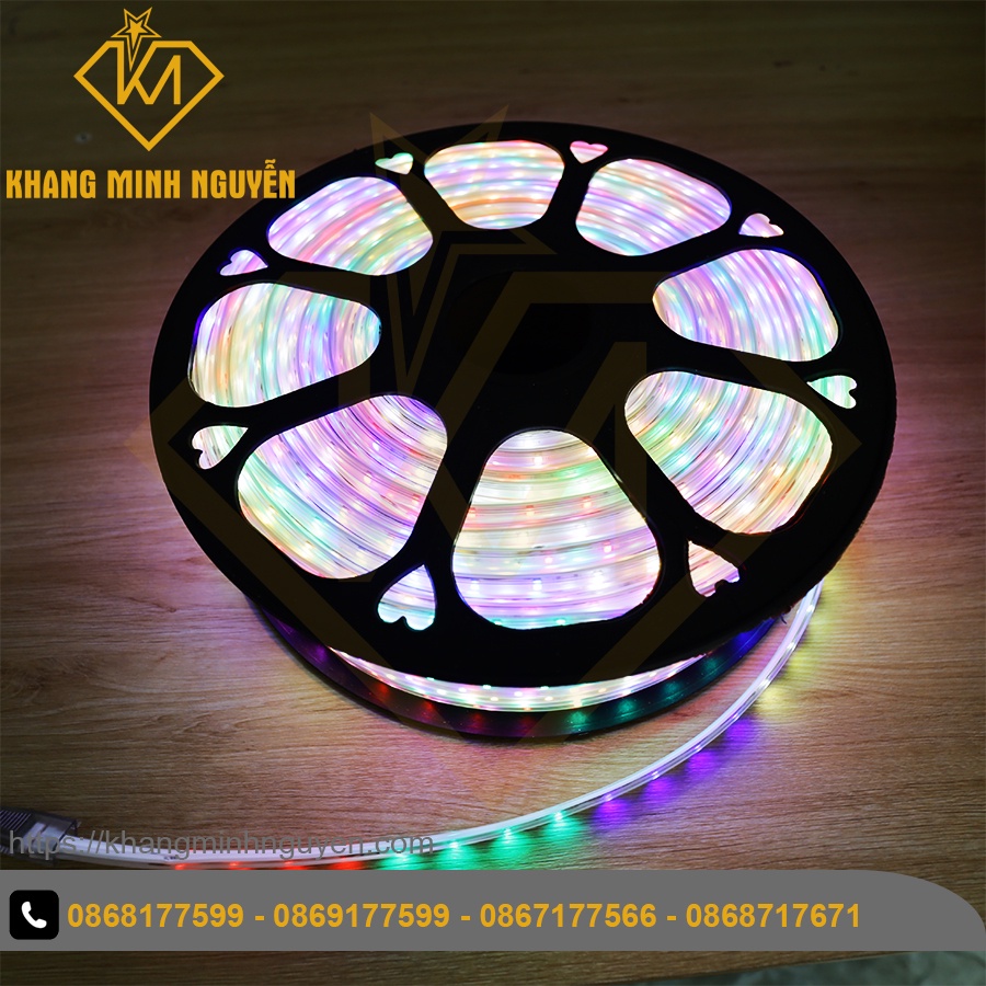 Led dây 220V chớp đuổi nhiều màu, chỉnh được chế độ chớp - bọc chống nước - trang Lễ Tết, quấn thân cây
