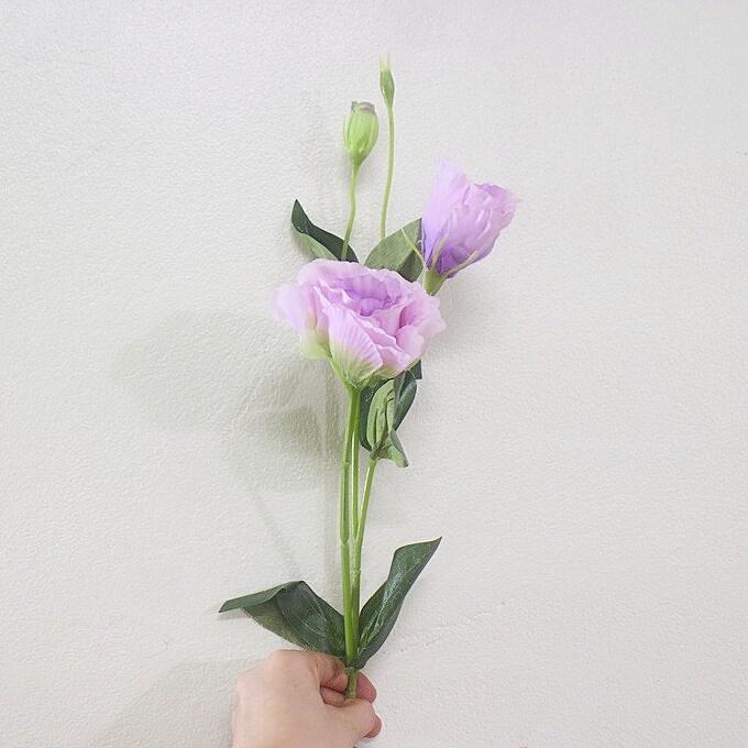 Cành hoa lan tường loại mới 2 bông 1 nụ