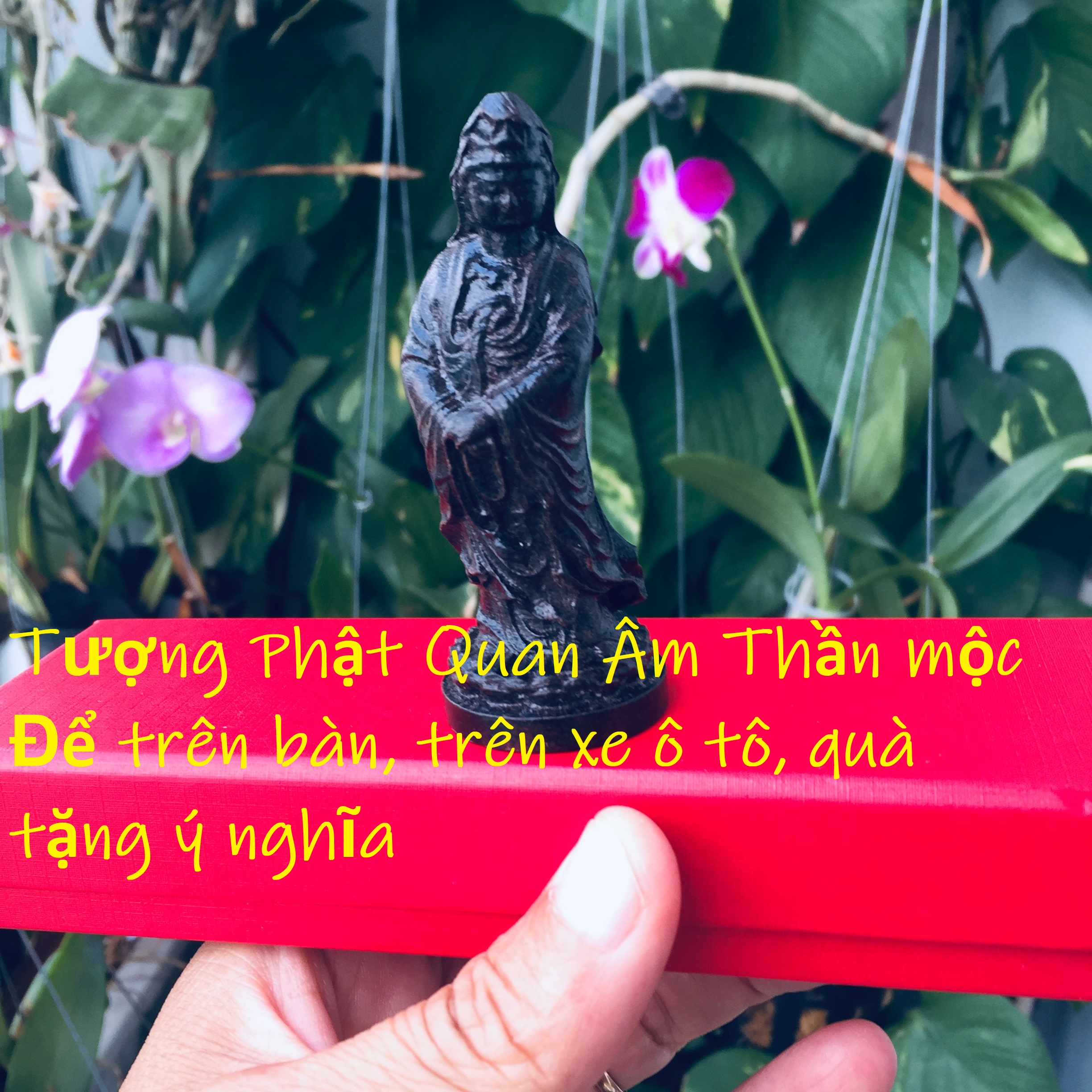 Bộ Tượng Phật Quan Âm Thần Mộc dùng để trên xe, trên bàn, Kèm hộp đựng cung hỷ lót Nhung Gấm, Kèm vòng tay chỉ đỏ Thailand