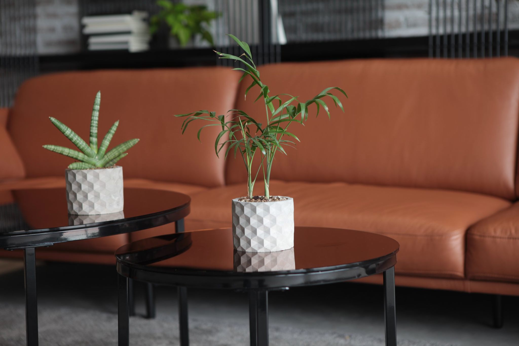 Combo 4 Chậu trồng sen đá , xương rồng, bonsai cây cảnh bằng xi măng, chính hãng Cori , chậu 3D Origami hình trụ tròn kích thước 15x11cm - Cement pots GiaThanh Decor