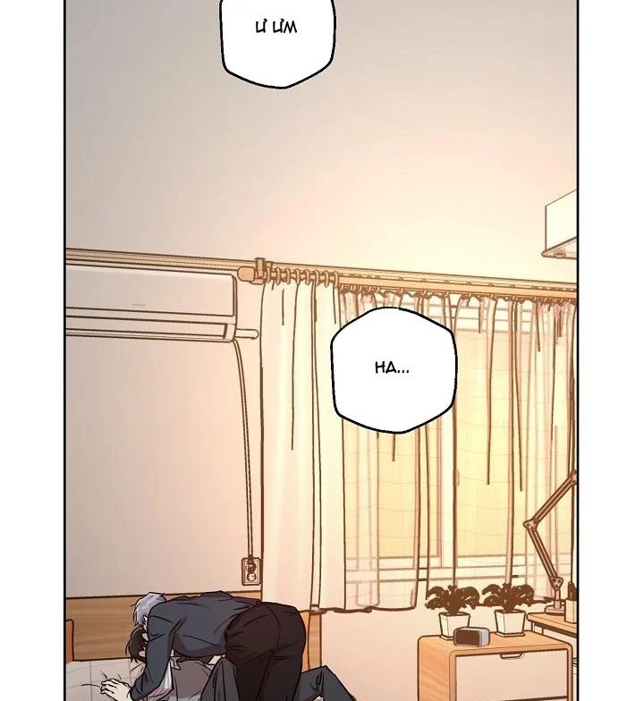 thần tượng đến rồi!? chapter 39 80