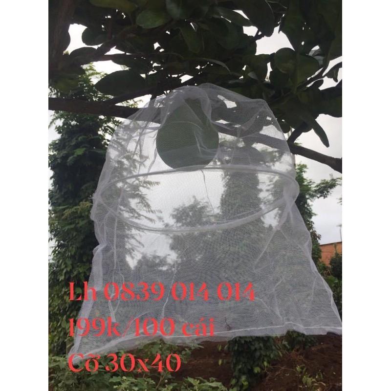 50 Bọc bưởi lưới mùng có khung cỡ 30x40