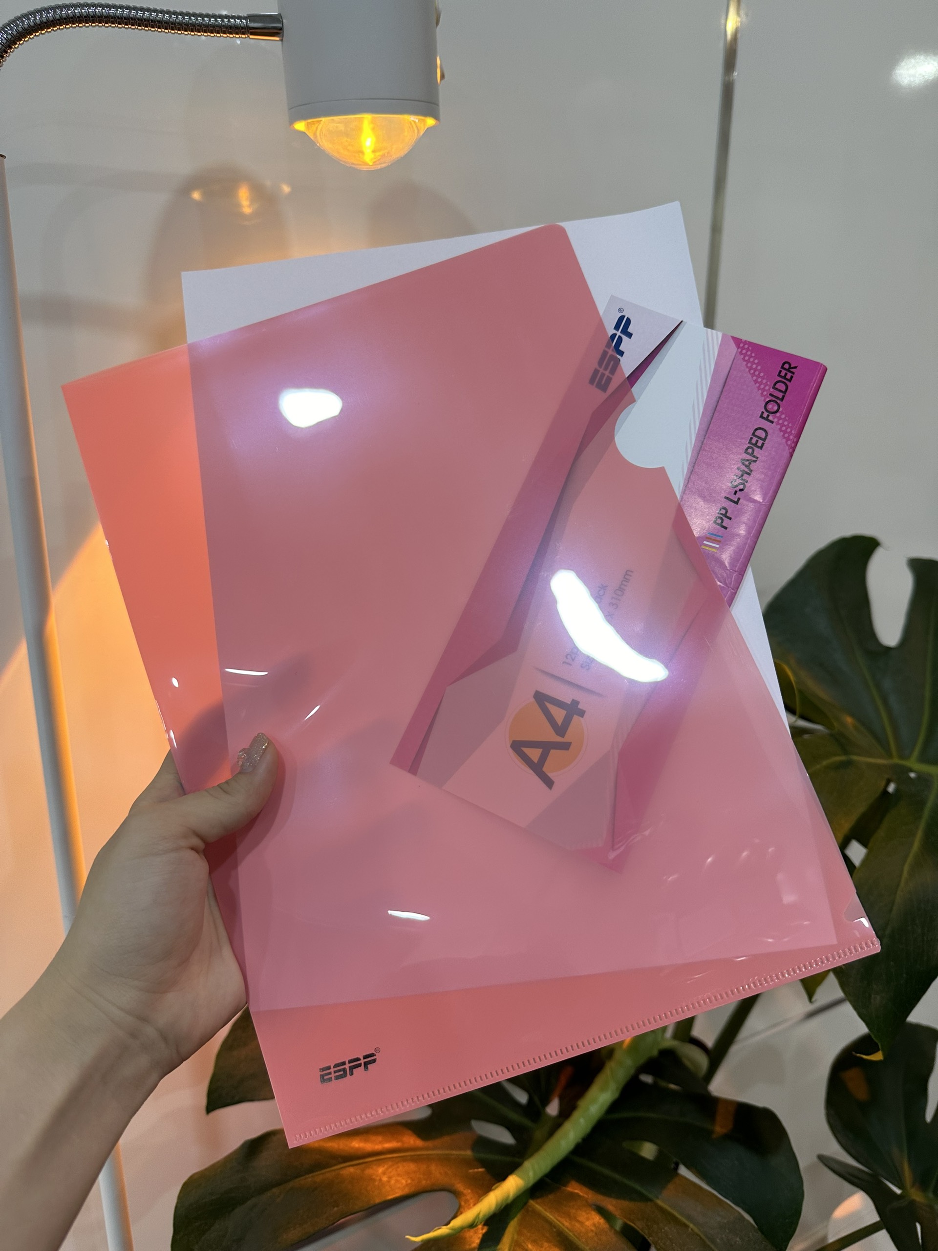 Bìa lá A4 (màu Hồng/Cam/ Xám/ Xanh Đậm) – ESPP
