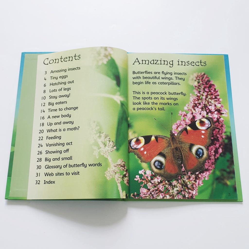 Usborne beginner nature 10q nhập màu box set