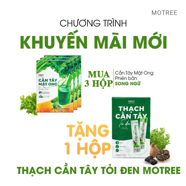 Combo 3 Hộp Cần Tây Mật Ong MOTREE Sấy Thăng Hoa Phiên Bản Song Ngữ (Mẫu Mới) - Tặng Kèm 1 Thạch Cần Tây Tỏi Đen Motree