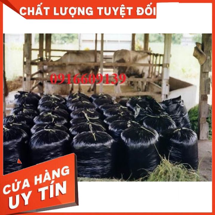 Nilon đen ủ chua cỏ