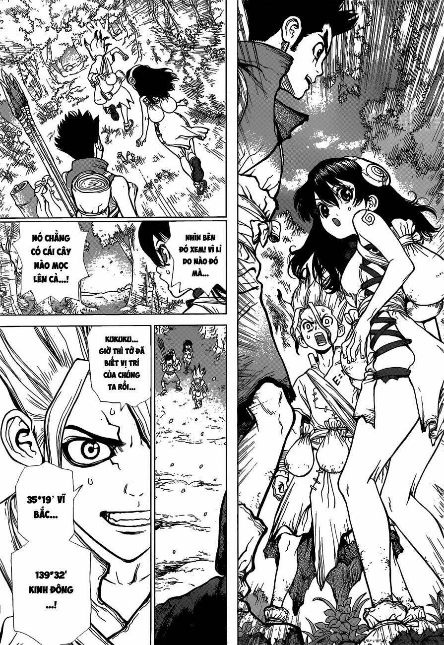 dr.stone - hồi sinh thế giới chapter 7 4