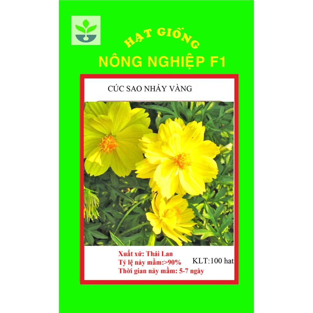 Gói 100 hạt giống cúc sao nháy vàng