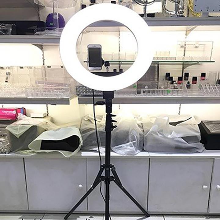 Bộ live stream cỡ lớn 26cm