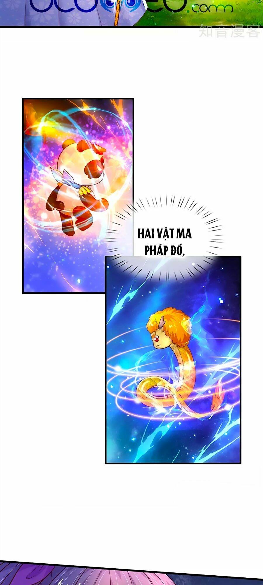 bỗng một ngày trở thành con gái nhà vua chapter 192 19