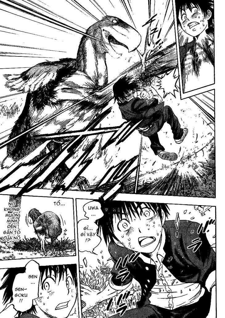 cage of eden chapter 1 46