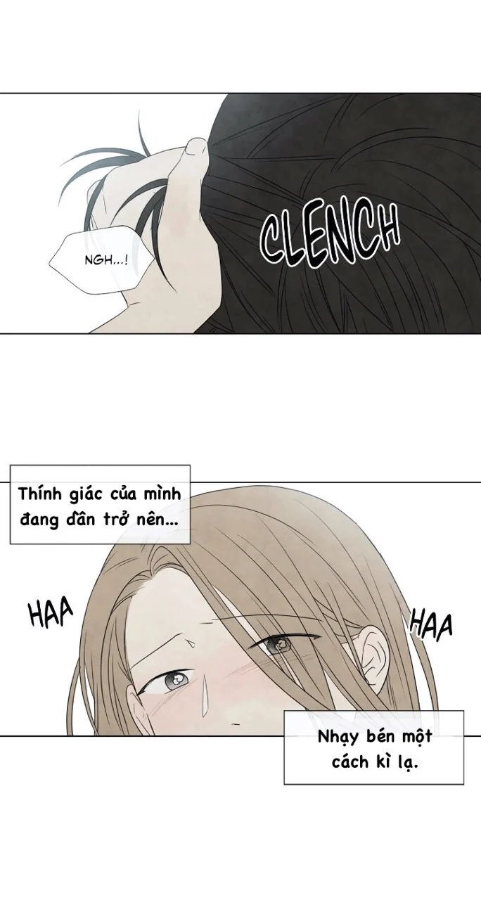 summer solstice point chapter 14 11