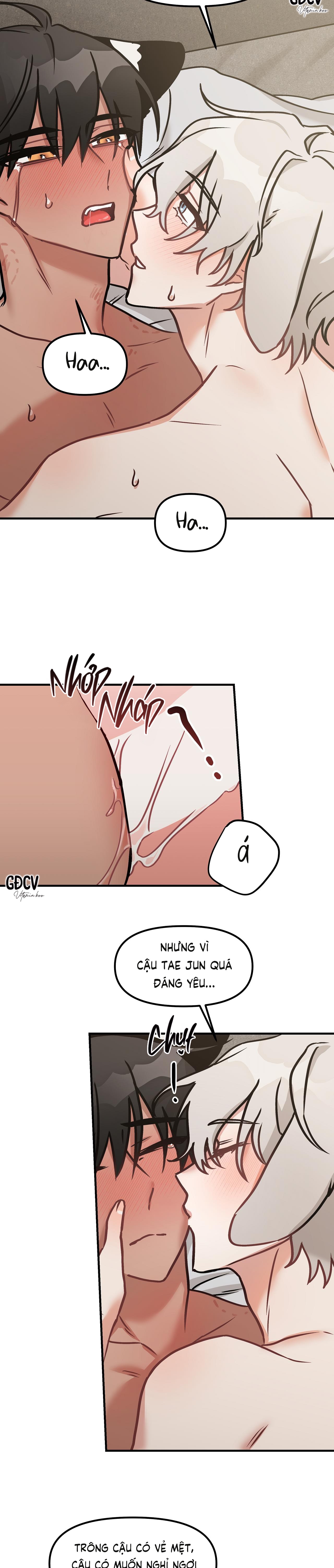 thưa ngài hổ, tôi đã ăn rất ngon miệng chapter 10 22