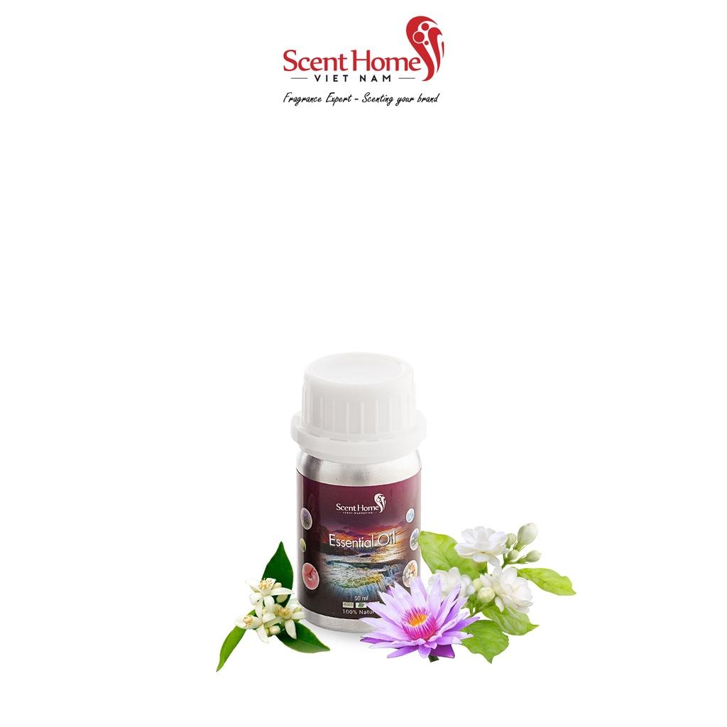 Tinh dầu Scent Homes - mùi hương