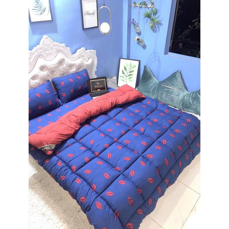 Bộ chăn ga gối phao đũi 4 món 1m6x2m tặng kèm vỏ gối ôm