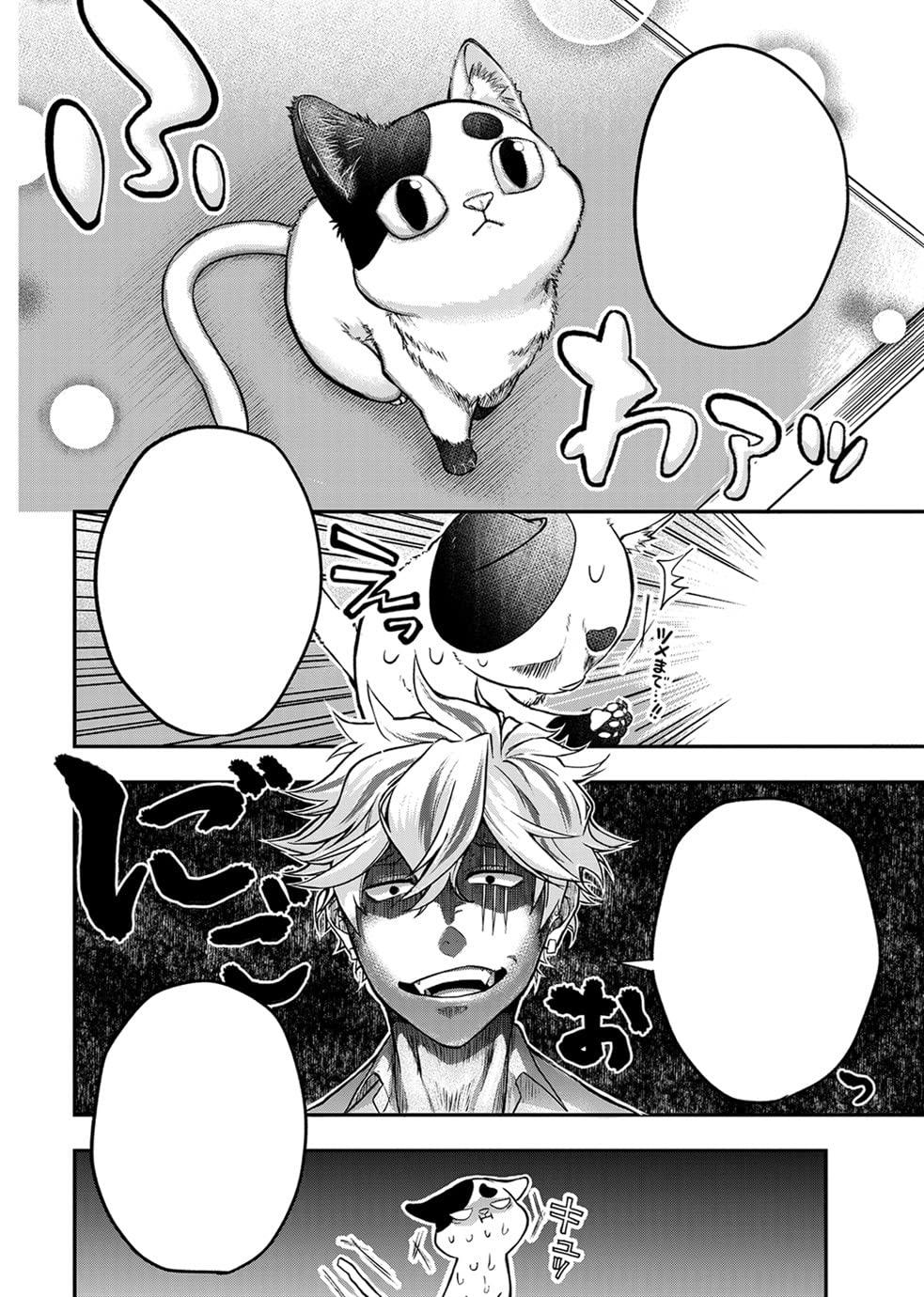Ex-Yakuza And Stray Kitten 1 (English Edition)