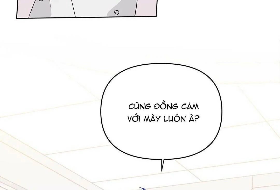 guide cấp b chapter 15 131