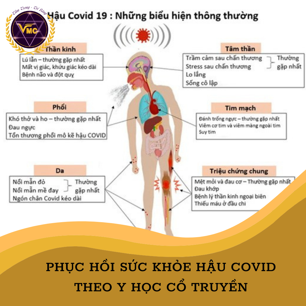 Khóa Học Phục Hồi SỨC KHỎE HẬU COVID Theo Y Học Cổ Truyền - Trung Tâm Chăm Sóc Sức Khỏe VMC
