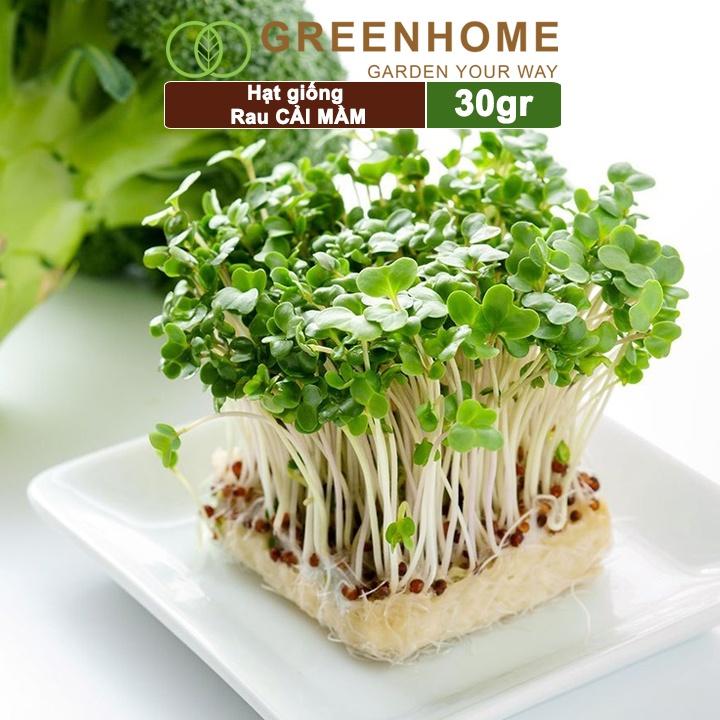 Hạt giống rau Cải mầm, gói 20g, dễ trồng, thu hoạch nhanh R10