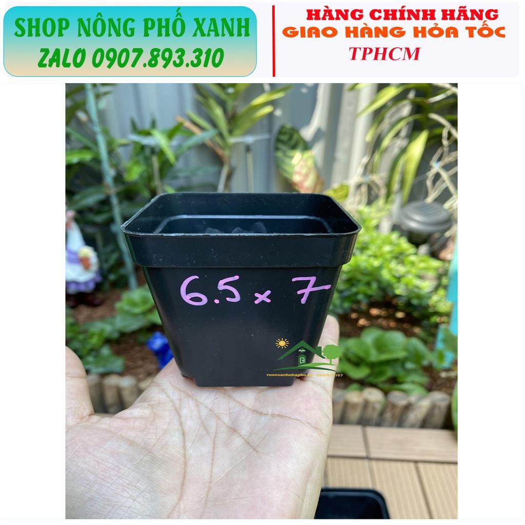 Chậu đen dẻo trồng sen đá bonsai xương rồng ươm cây con, trồng phôi bonsai mini