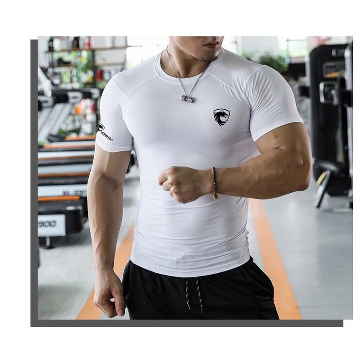 Áo Ngắn Tay Tập Gym Nam Vải Thun Lạnh Gold Shark, Logo cá tính