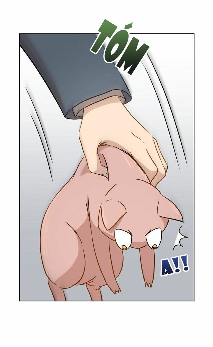 cuộc sống kỳ thú chapter 1 56