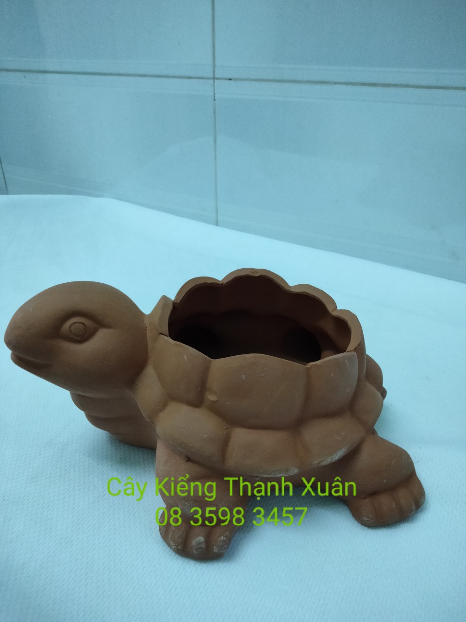 Chậu đất nung trồng cây - Chậu trồng cây sen đá, xương rồng chú rùa nhỏ  có lỗ thoát nước