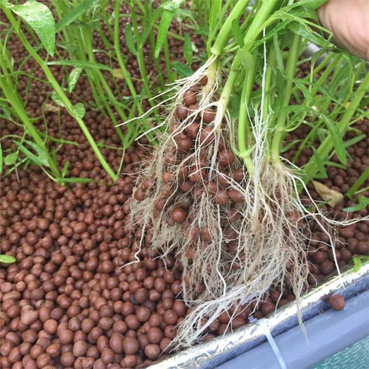Bộ Giá Thể Trồng Mầm Giá 400g