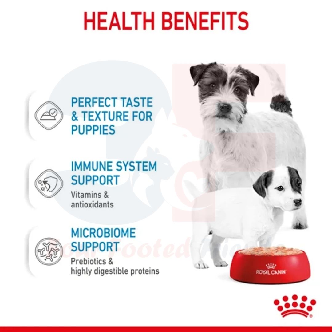 Pate thức ăn ướt Royal Canin Starter Mousse Mother &amp; Babydog Dành Cho Chó Mẹ Mang Thai VÀ Cho Con Bú, Chó Con Dưới 2 Tháng Tuổi Dạng Loaf - Lon 195gr