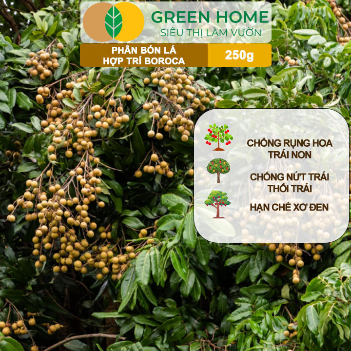 Phân bón lá Hợp Trí Boroca GreenHome, Hũ 250gr, Giúp Chống Rụng Hoa, Trái Non Tăng Đậu Trái Hiệu Quả