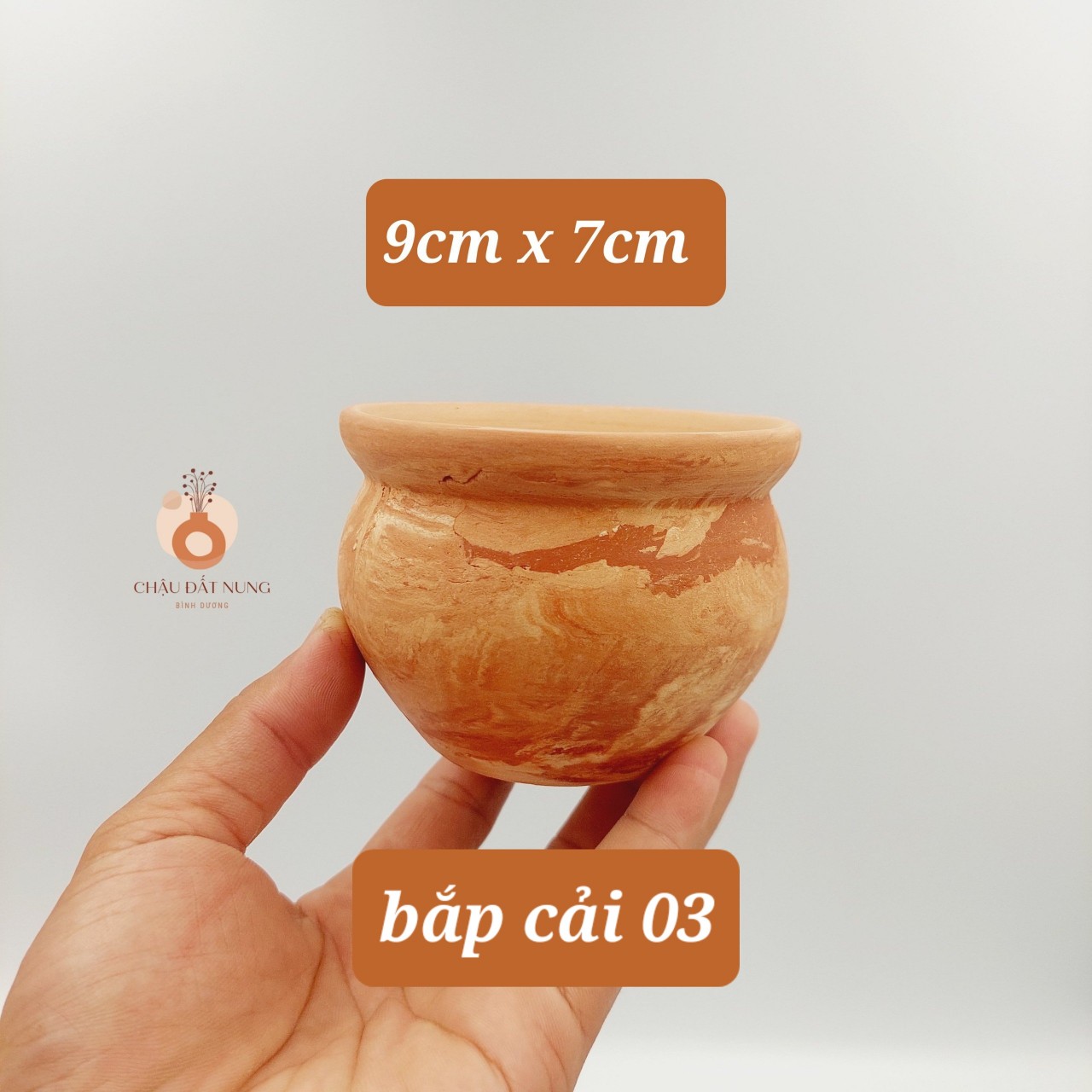 Chậu đất nung Bình Dương- Bắp cải 86, miệng chậu 8~9cm, chiều cao 6~7cm