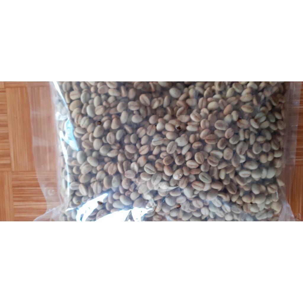 Hạt giống cà phê TR4