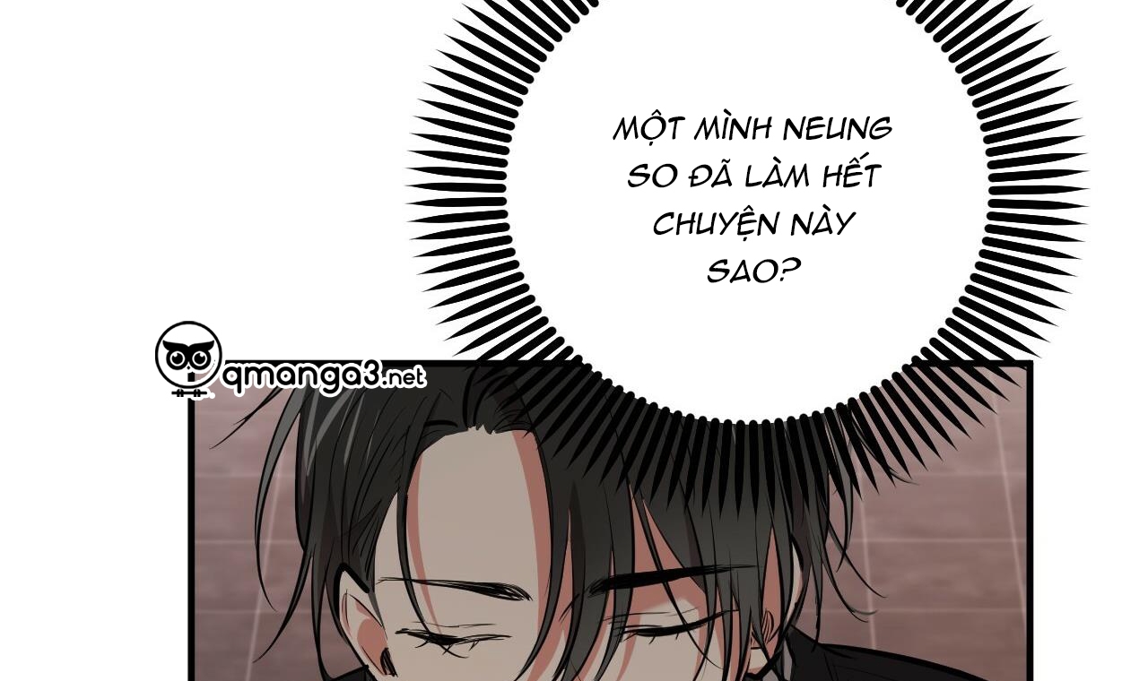 những chú thỏ của hapypy chapter 49 114