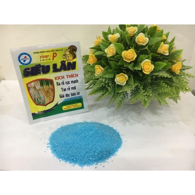 SIÊU LÂN - Kích ra rễ mới