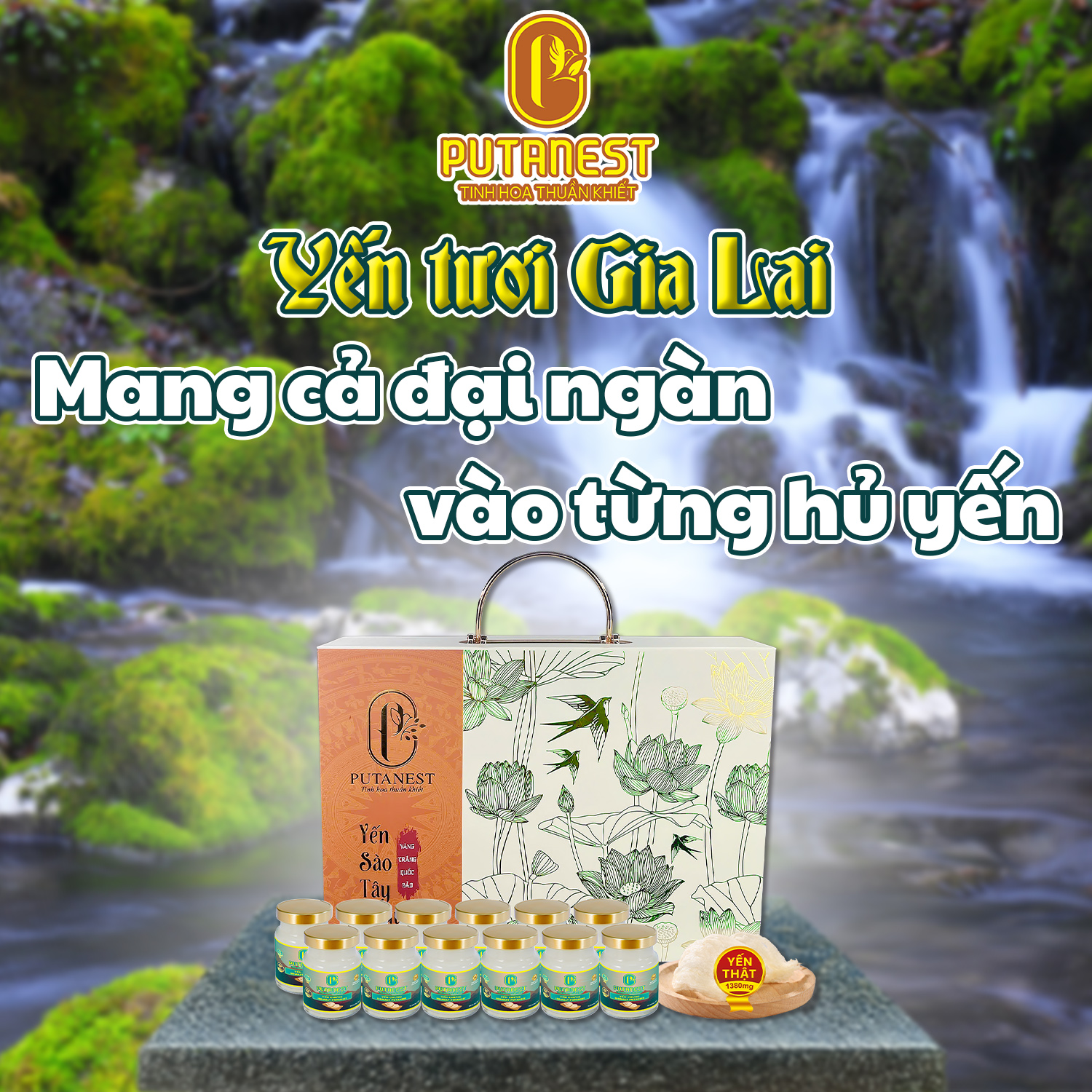 Yến chưng Isomalt PUTANEST hộp quà tặng cao cấp 12 hũ 70ml cho người ăn kiêng giữ dáng tiểu đường