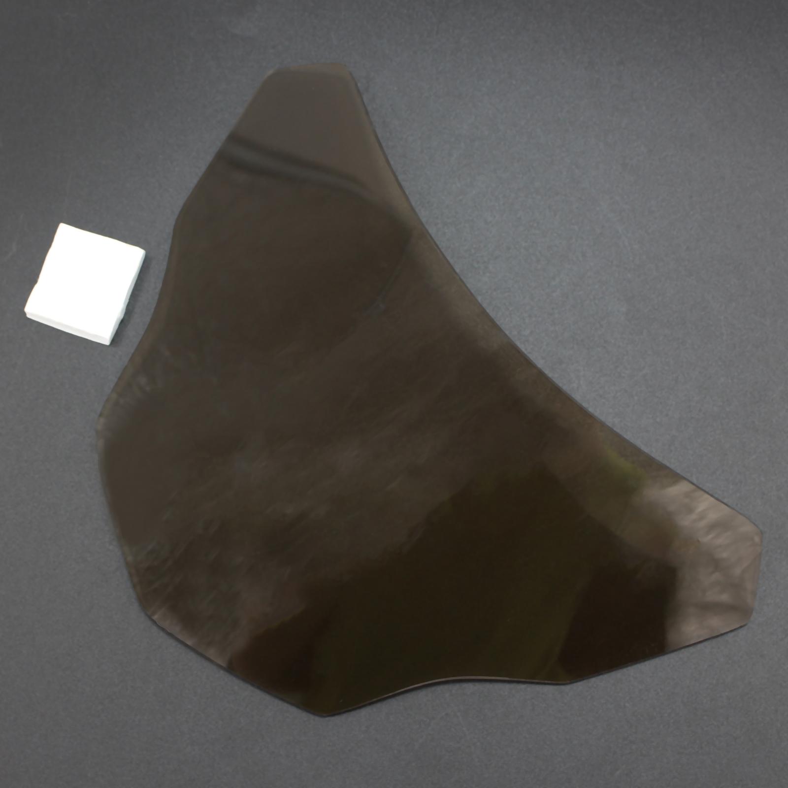 Headlight Screen Protection Guard Cover Fit for BMW G310R G310GS Black