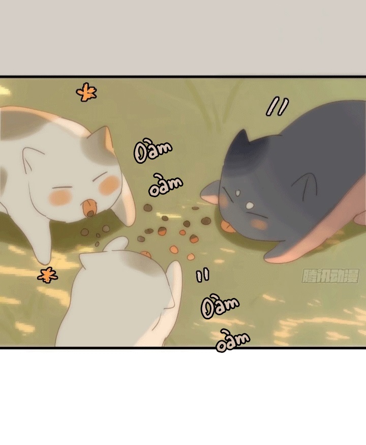 đêm đầy sao nói với em chapter 17 4