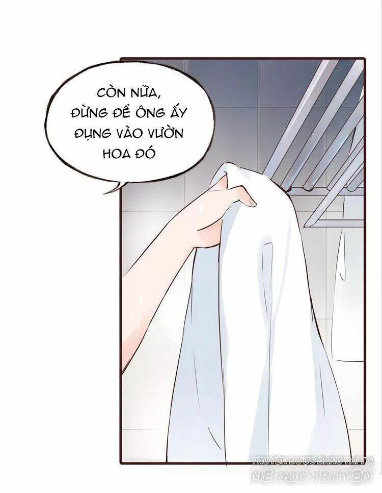 nở rộ trên bụi gai chapter 42 56