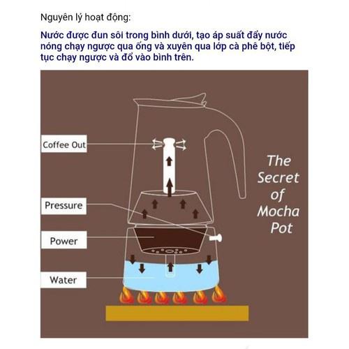 BÌNH PHA CAFE BẾP TỪ MOKA INOX 300ml, ấm pha cà phê inox 300ml phong cách Ý THẨM THẤU NGƯỢC kiểu dáng thể thao hiện đại