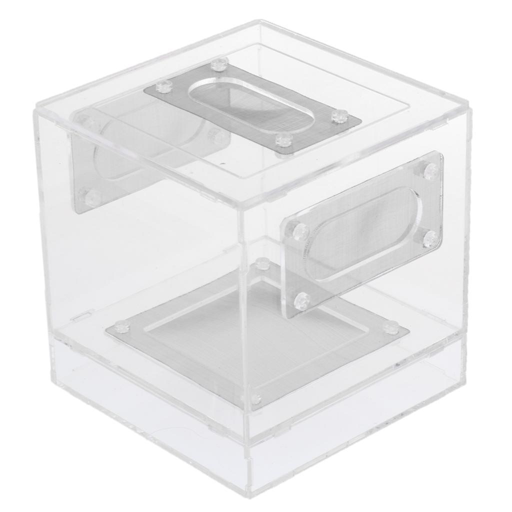Small Reptile Lizard Spider Scorpion Insect Vivarium Feeding Rearing Box
